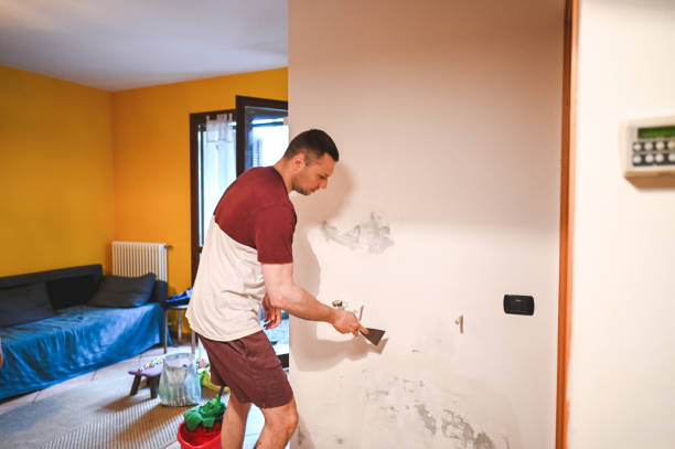 Best Mold Remediation Services  in Holtville, CA